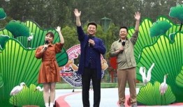 台风苏拉最新爆料视频下载,视频揭秘超强台风的威力与影响